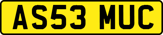 AS53MUC