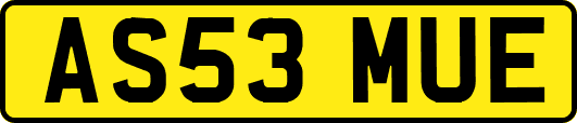 AS53MUE