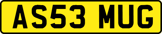 AS53MUG