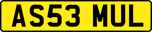 AS53MUL