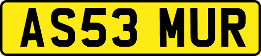AS53MUR