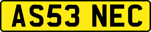 AS53NEC