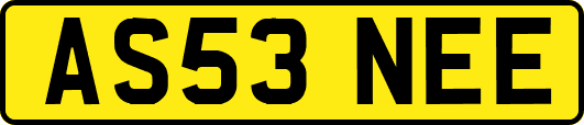 AS53NEE
