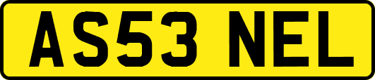 AS53NEL
