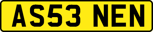 AS53NEN