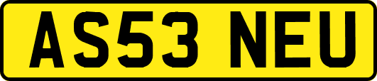 AS53NEU