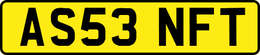 AS53NFT
