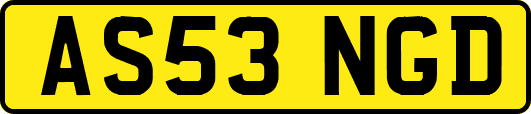 AS53NGD