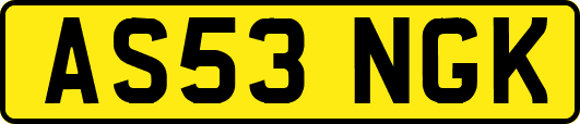 AS53NGK