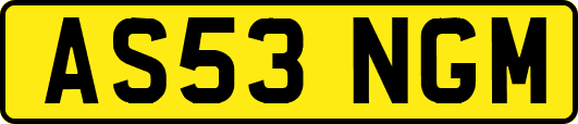 AS53NGM