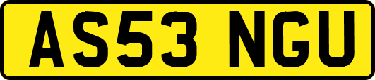 AS53NGU