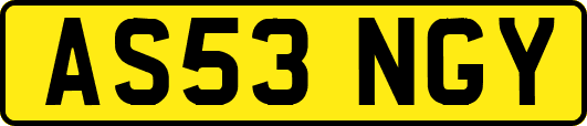 AS53NGY