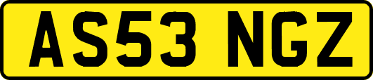 AS53NGZ