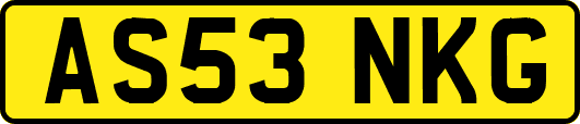 AS53NKG