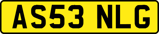 AS53NLG