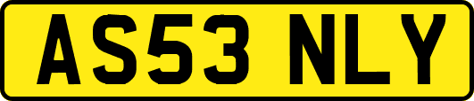AS53NLY