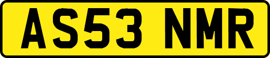 AS53NMR