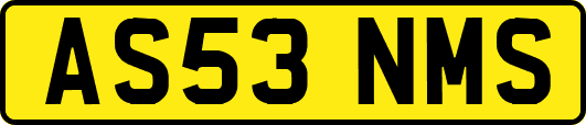 AS53NMS