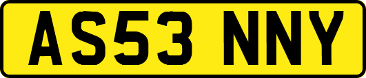 AS53NNY