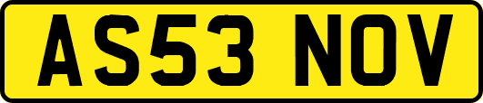 AS53NOV