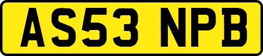 AS53NPB