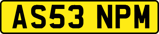 AS53NPM