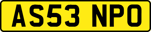AS53NPO