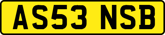 AS53NSB