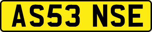 AS53NSE