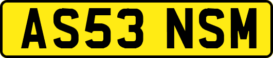 AS53NSM