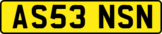 AS53NSN