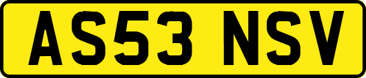 AS53NSV
