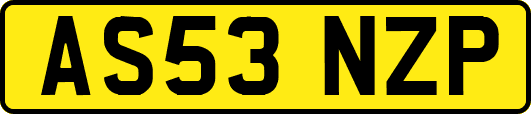 AS53NZP