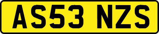 AS53NZS