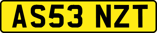 AS53NZT