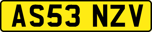 AS53NZV