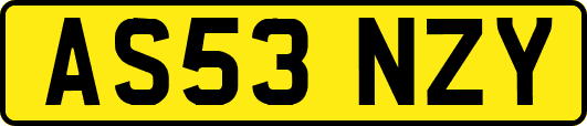 AS53NZY