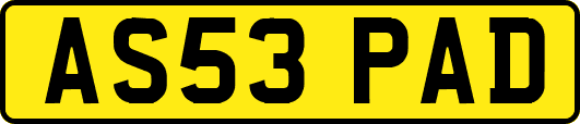 AS53PAD