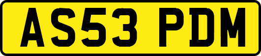 AS53PDM