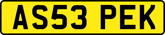 AS53PEK