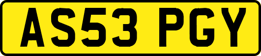 AS53PGY