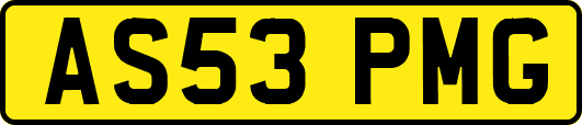 AS53PMG