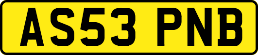 AS53PNB