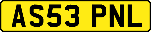 AS53PNL