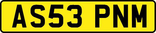 AS53PNM