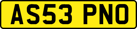 AS53PNO