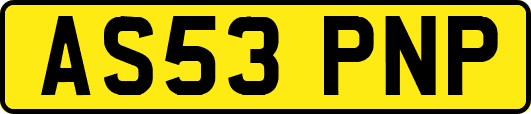AS53PNP