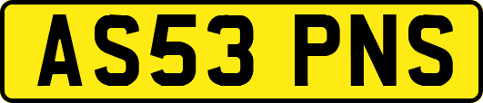 AS53PNS