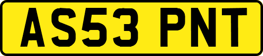 AS53PNT