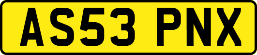 AS53PNX